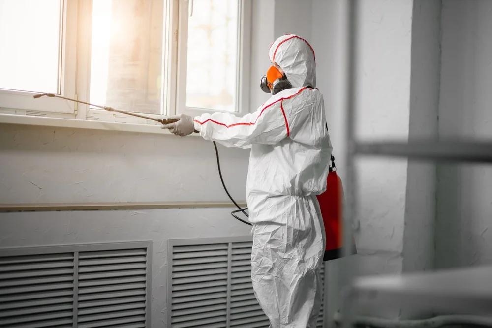 Professional mold remediation services in Sharon, CT